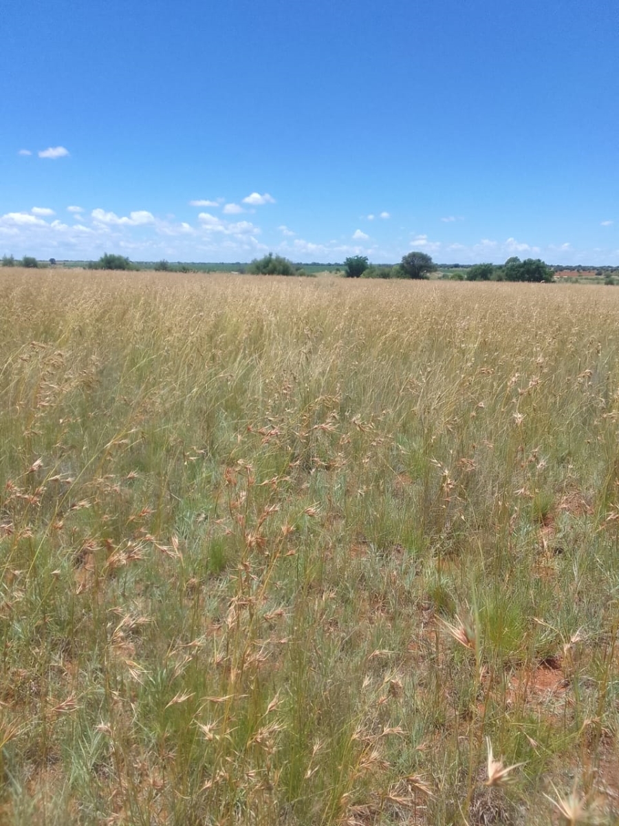 Commercial Property for Sale in Schweizer Reneke North West